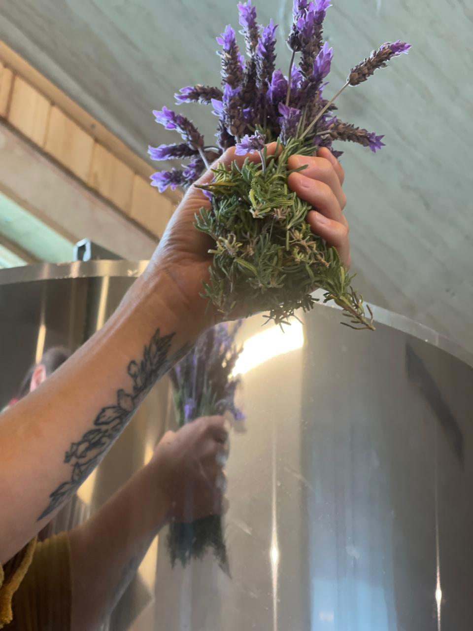 Lavanda fresca sobre el estanque de fermentación