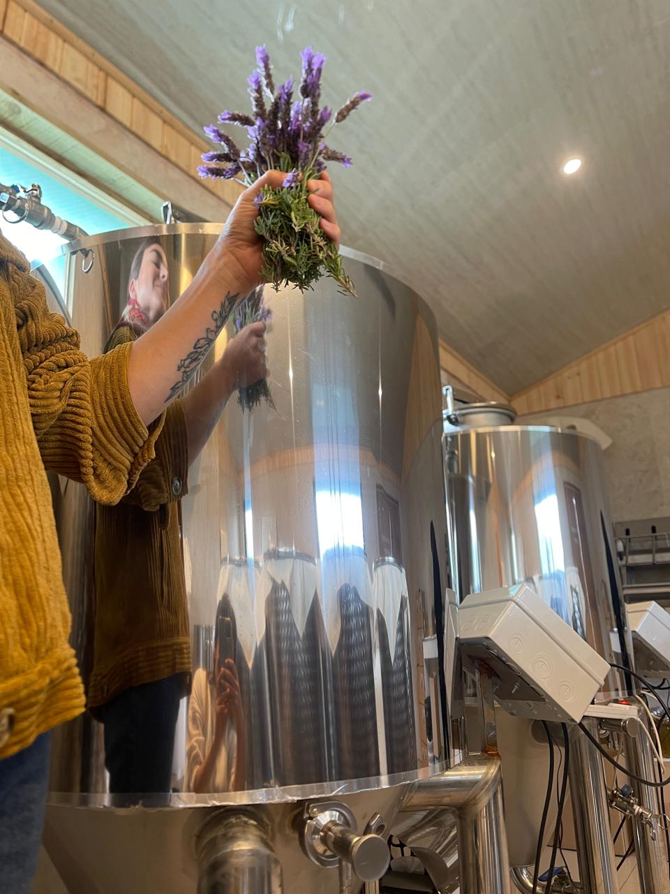 La creadora de Bindu con lavanda fresca en la fermentadora